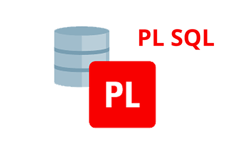 PL/SQL